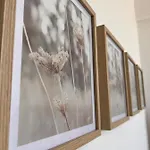 Bella Vista Orikumi